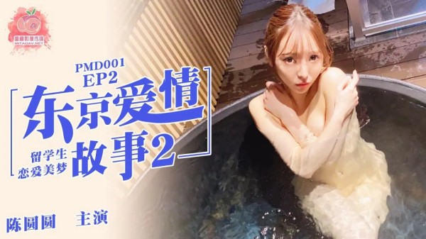 东京爱情故事2